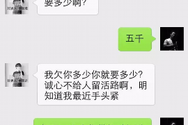 盐都企业清欠服务